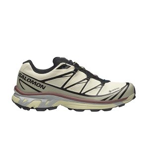 XT-6 GORE-TEX